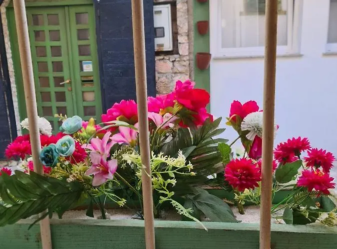 Guest house Yildiz 3*